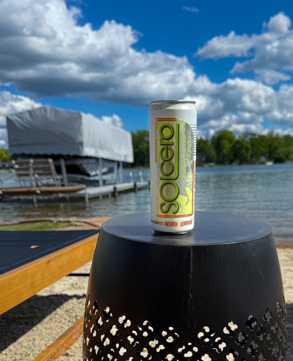 EctoPro Premium Protein